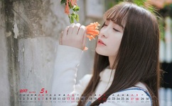 忘忧草代表什么意思